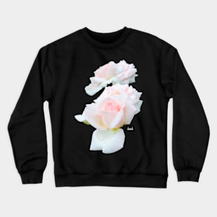 Rose in the dew on black / Swiss Artwork Photography Crewneck Sweatshirt